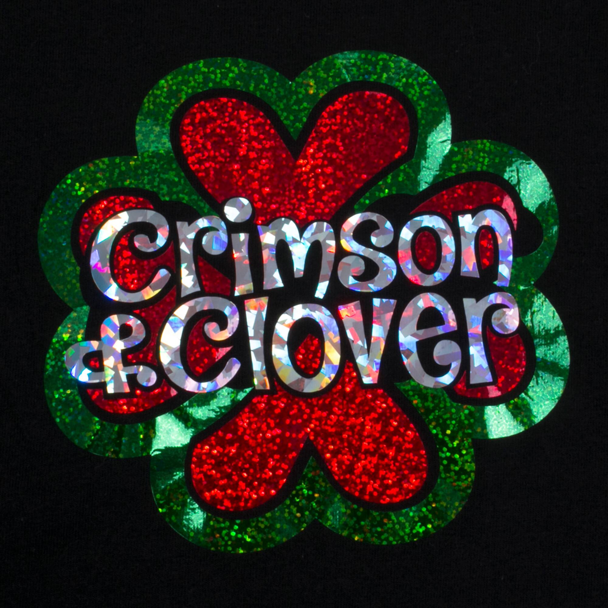 Siser® Holographic Heat Transfer Vinyl Roll, Rainbow